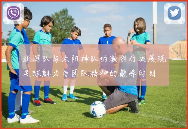 新泻队与太阳神队的激烈对决展现足球魅力与团队精神的巅峰时刻