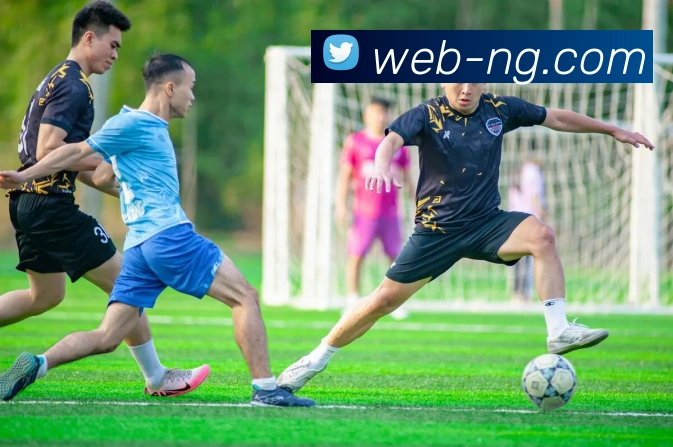 NG体育发展历程