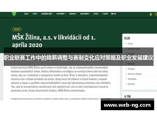 职业联赛工作中的降薪调整与赛制变化应对策略及职业发展建议
