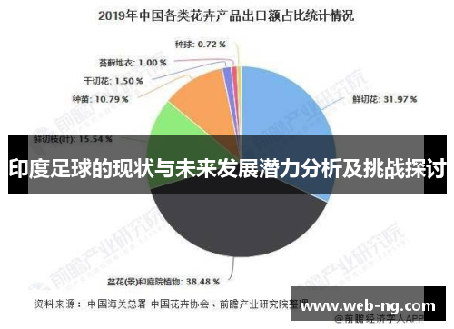 印度足球的现状与未来发展潜力分析及挑战探讨