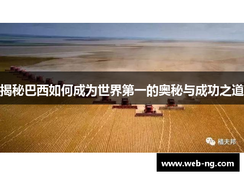 揭秘巴西如何成为世界第一的奥秘与成功之道